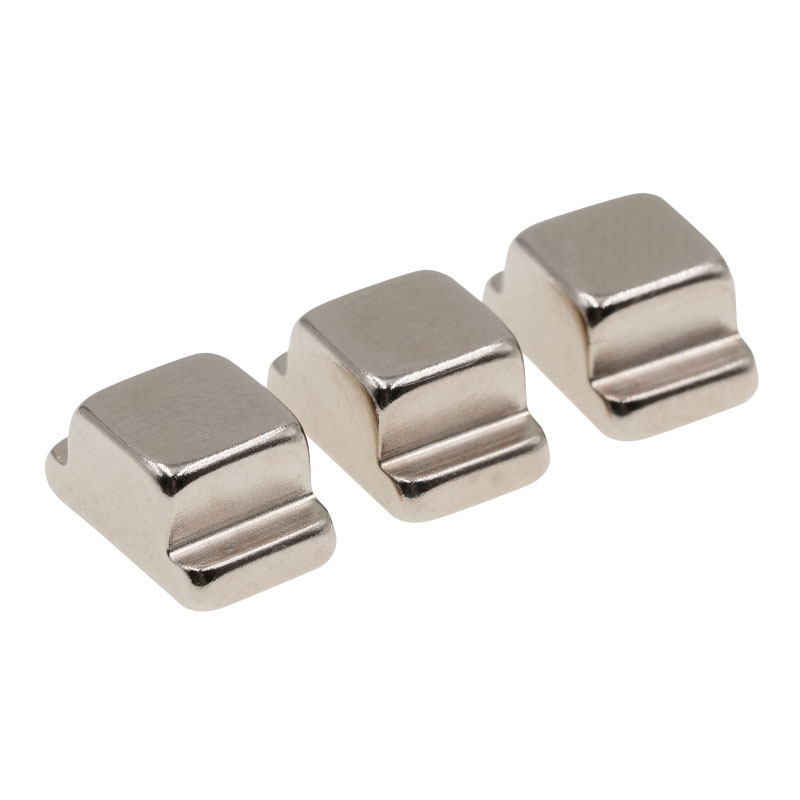 Custom na Hugis Permanenteng Magnet